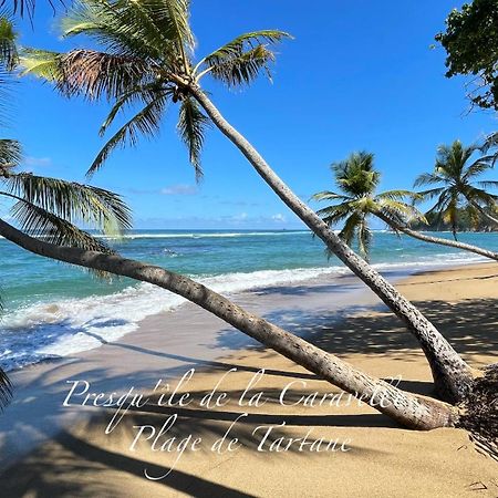 Les Bungalows De La Plage لا ترينيت المظهر الخارجي الصورة