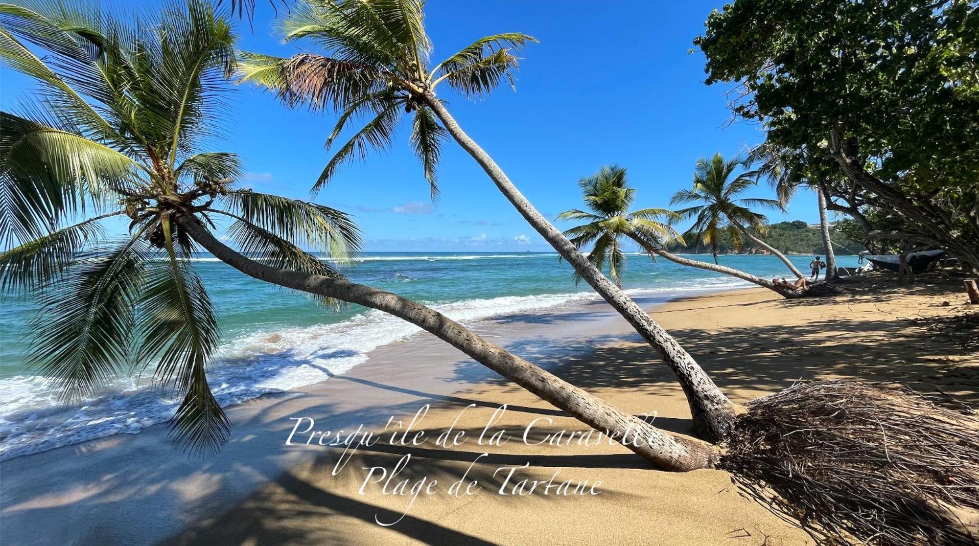 Les Bungalows De La Plage لا ترينيت المظهر الخارجي الصورة